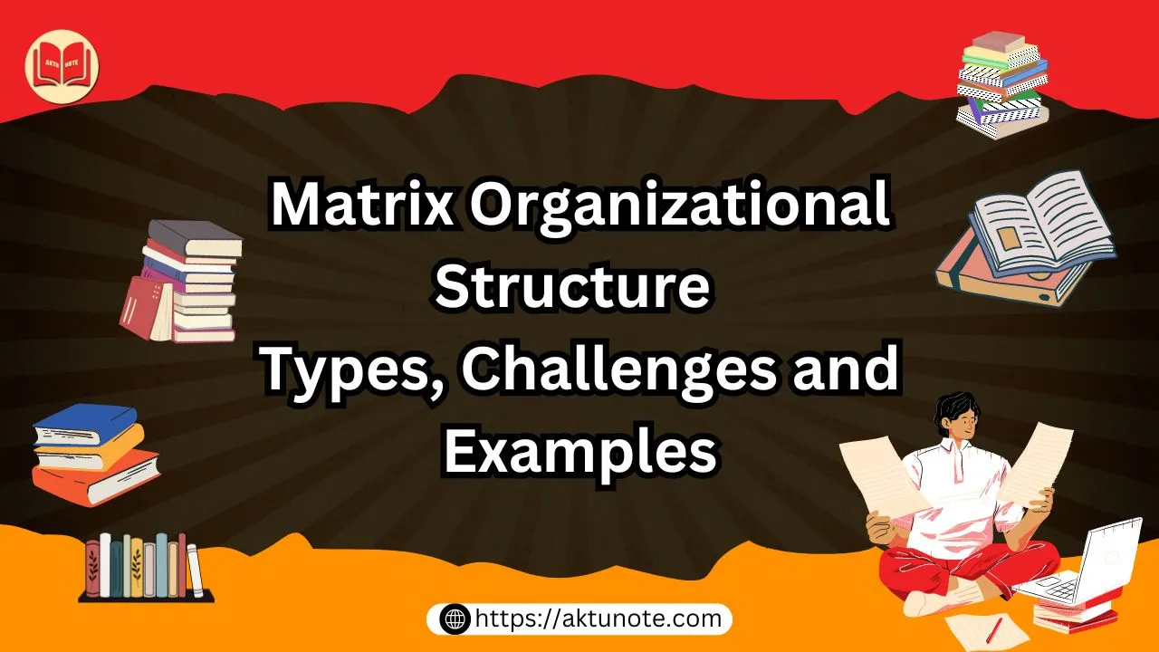 Matrix Organizational Structure Types, Challenges and Examples