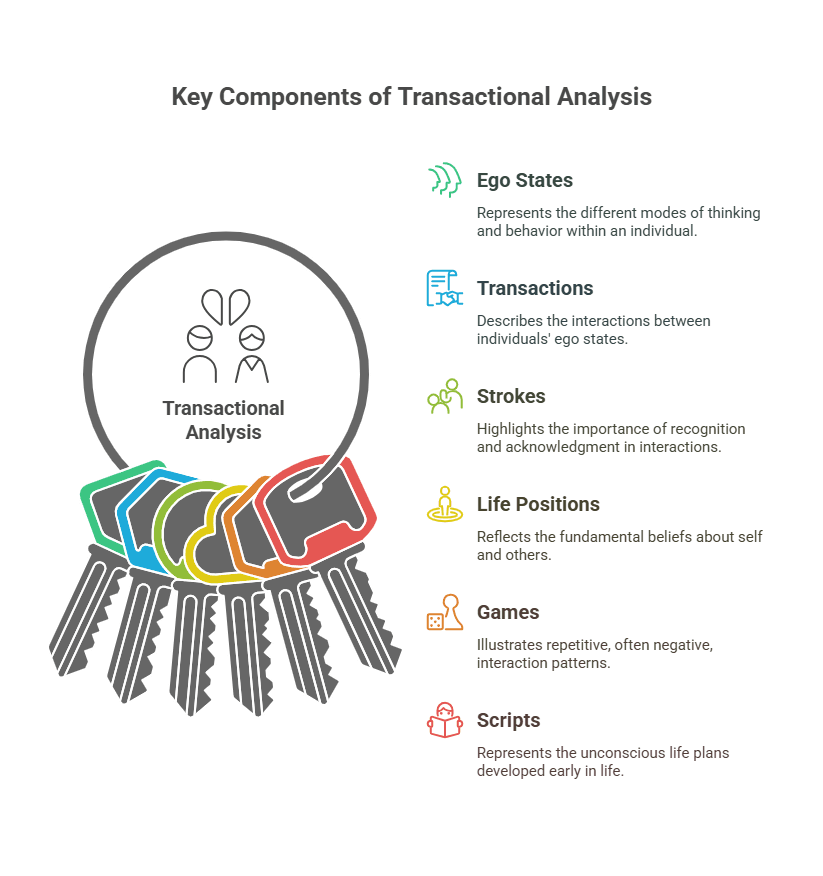 Key Components of Transactional Analysis