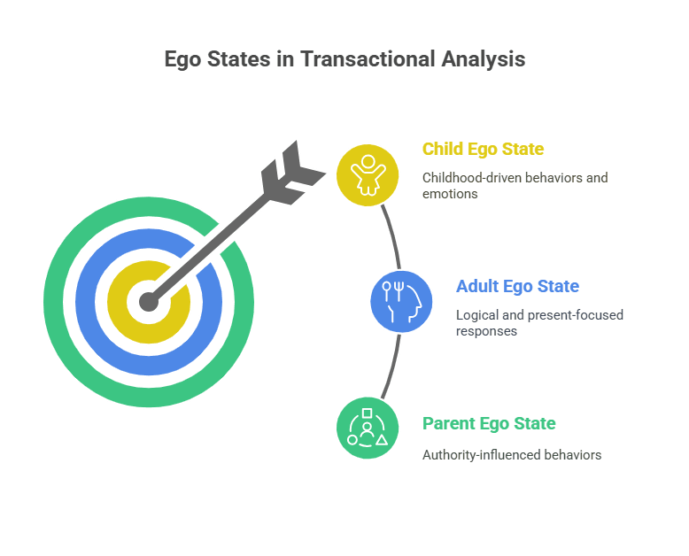 Three Ego States in Transactional Analysis