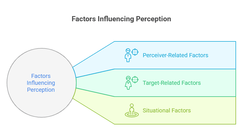 Factors Influencing Perception